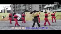 广场舞 牧羊姑娘分解动作 广场舞蹈视频大全 DVD超清版