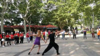 上海中山公园水兵舞、丰舞、三步踩交流活动“双人展演