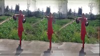 漓江飞舞广场舞《金候迎春》2016最新广场舞性感舞步广场舞视频大全