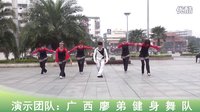 远 方-广西廖弟健身广场舞 （附背面示范）