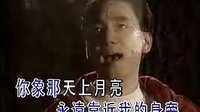 大陆男歌手 林依轮 - 透过开满鲜花的月亮  1993