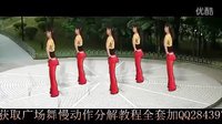 2013广场舞流行舞蹈《老婆最大》正反面详细演示