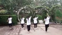 宝鸡植物园广场舞蹈队1