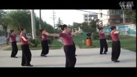 广场舞彩云之南 广场舞教学 广场舞蹈视频大全 标清