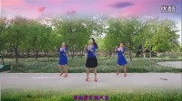 2014最新广场舞大全视频轻纱曼舞广场舞《青春飞舞》_高清3