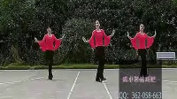 2014最新广场舞蹈视频大全 《山里红》 _高清