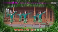廊坊星月舞蹈队              想云南              表演背面_796x448_2.00M_h.264