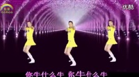 2014最新广场舞蹈视频大全 凤凰香香广场舞教学 你牛什么牛_超清_高清