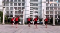广场舞教程视频大全下载