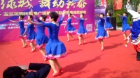 新泰小树林舞蹈队，最美西藏