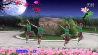 桃花森林广场舞 《白天的月亮》欢快的32步 编舞：雨夜