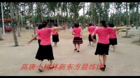 高唐小树林新东方晨练团广场舞 广场舞《 七人华尔兹》（1）