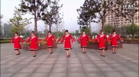 2016 最新 广场舞 教学 北京的金山上