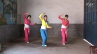 广场舞北江美 广场舞蹈视频大全2015 广场舞双人舞伦巴