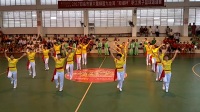 2017年老年人体育协会健身操舞比赛串烧《蔡李佛/中国味道》风采健身队表演