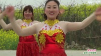 南阳红泥湾红霞广场舞 跳到北京 表演