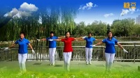 金桥公园阳光健身队演绎优柔原创舞步操第一套第八节