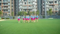 重庆市白市驿华华舞蹈队舞蹈-春天的芭蕾_土豆视频