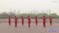 最炫民族风广场舞视频中老年广场舞2017最新广场舞