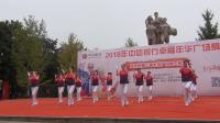 荆州花园银杏梦之队在2018年荆州社区广场舞大赛中演绎梦十四拍手运动