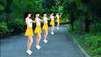 最新32步广场舞《雨中泪》网络情歌 简单步子舞