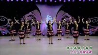 广场舞 清江画廊土家妹分解动作 广场舞蹈视频大全 DVD超清版