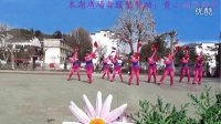 霞坑柳山广场舞2014年第一辑变队形广场舞《接新娘》