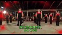 广东吴川振文镇好姐妹舞蹈队表演广场舞《花蝴蝶》