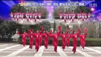 心儿美广场舞-舞蹈-【红红火火闹新年】团队完整版