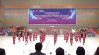 望华西苑杯  望江县第四届广场舞体育舞蹈大赛