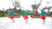 最新流行简单易学广场舞南阳红霞广场舞《甩葱歌》含正背面动作分解32步