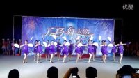 2015年象州县中平镇广场舞比赛一等奖【魅力无限】