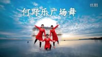 何野乐广场舞姐妹合频《雪山姑娘》 学重庆叶子老师舞蹈