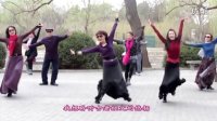 紫竹院广场舞——想西藏（带歌词字幕）