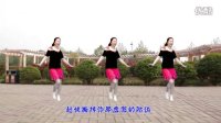 2016年最新宜阳明萱广场舞 【不做你幸福的玫瑰】编舞：杨丽萍