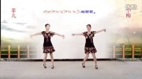 江苏菲儿广场舞《主要看气质》团队版  编舞:茉莉  制作:菲儿