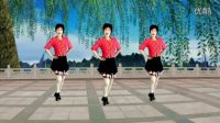 2016年最新吕芳广场舞《暖春》简单好看32步正背面及分解