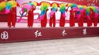 大城县千名农村文化志愿者汇报演出，骆贾村广场舞☞开门红☜