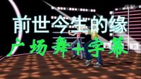 广场舞DJ舞演示视频制作66：前世今生的缘-广场舞版+字幕