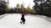 郑州西湖乐动李华广场舞舞蹈（石榴花）背面演示:李华