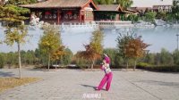 紫颦儿广场舞《锦上南京》