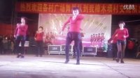 吴川市振文北乡飞燕健身队参加上樟木勇第二届广场舞晚会《我是女汉子》