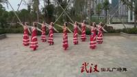 武汉仙儿广场舞   想西藏