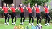 杨丽萍民族健身舞 广场舞你是我的佛