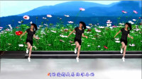 2017最新广场舞教学视频 滑步舞《歌在飞》附教学