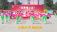 舞林盟主杯原创广场舞比赛 “生意兴隆”——天鹅红叶舞蹈队