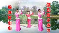 超美的中国古典舞 彩云盘广场舞《梨花颂》