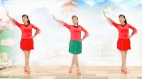 2017最新广场舞《高粱红》正背面附口令教学    玫香广场舞