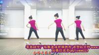 下载健身舞教学视频朋友的酒广场舞步分解
