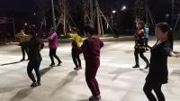 中老年健身舞广场舞视频